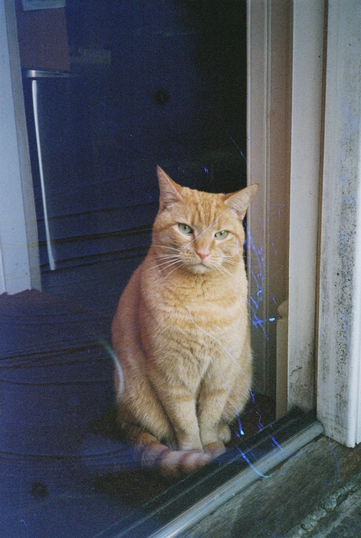 Rudy