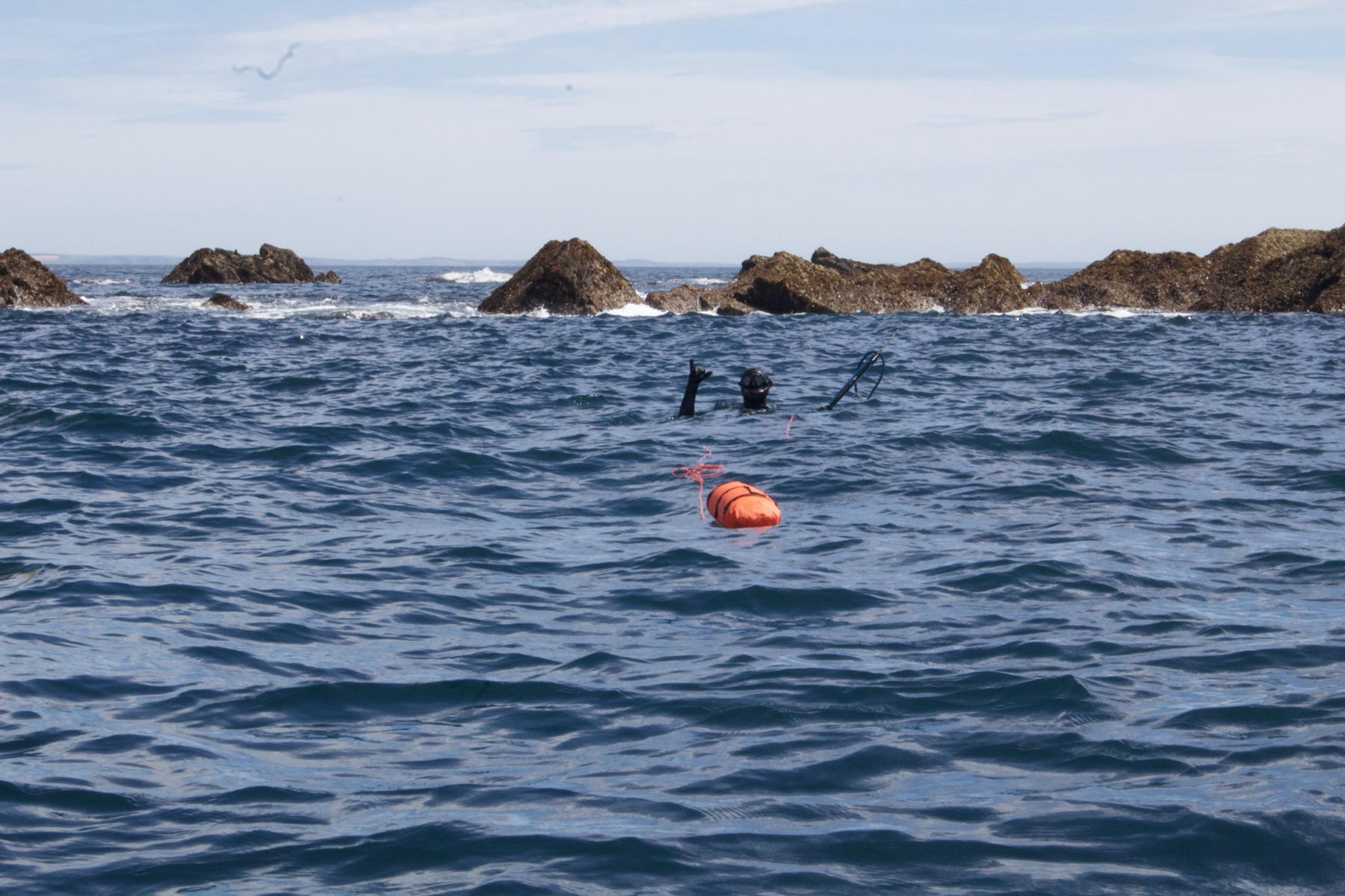 Spearfishing